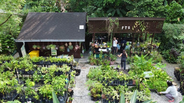 Family-Friendly Volunteering Activities In KL