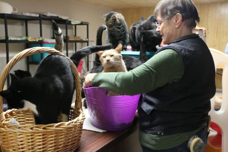 Family-Friendly Volunteering Activities In KL