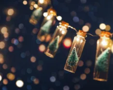 String of fairy lights with tiny glass bottles holding miniature Christmas trees against a dark, softly glowing background