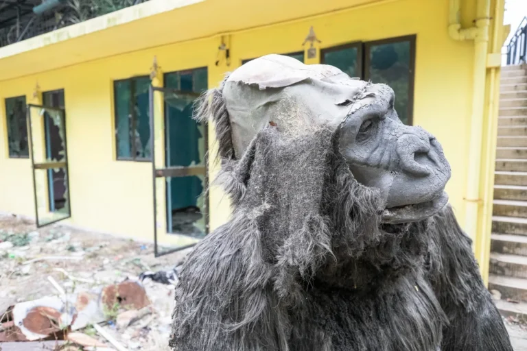 haunted spots hong kong. abandoned theme park