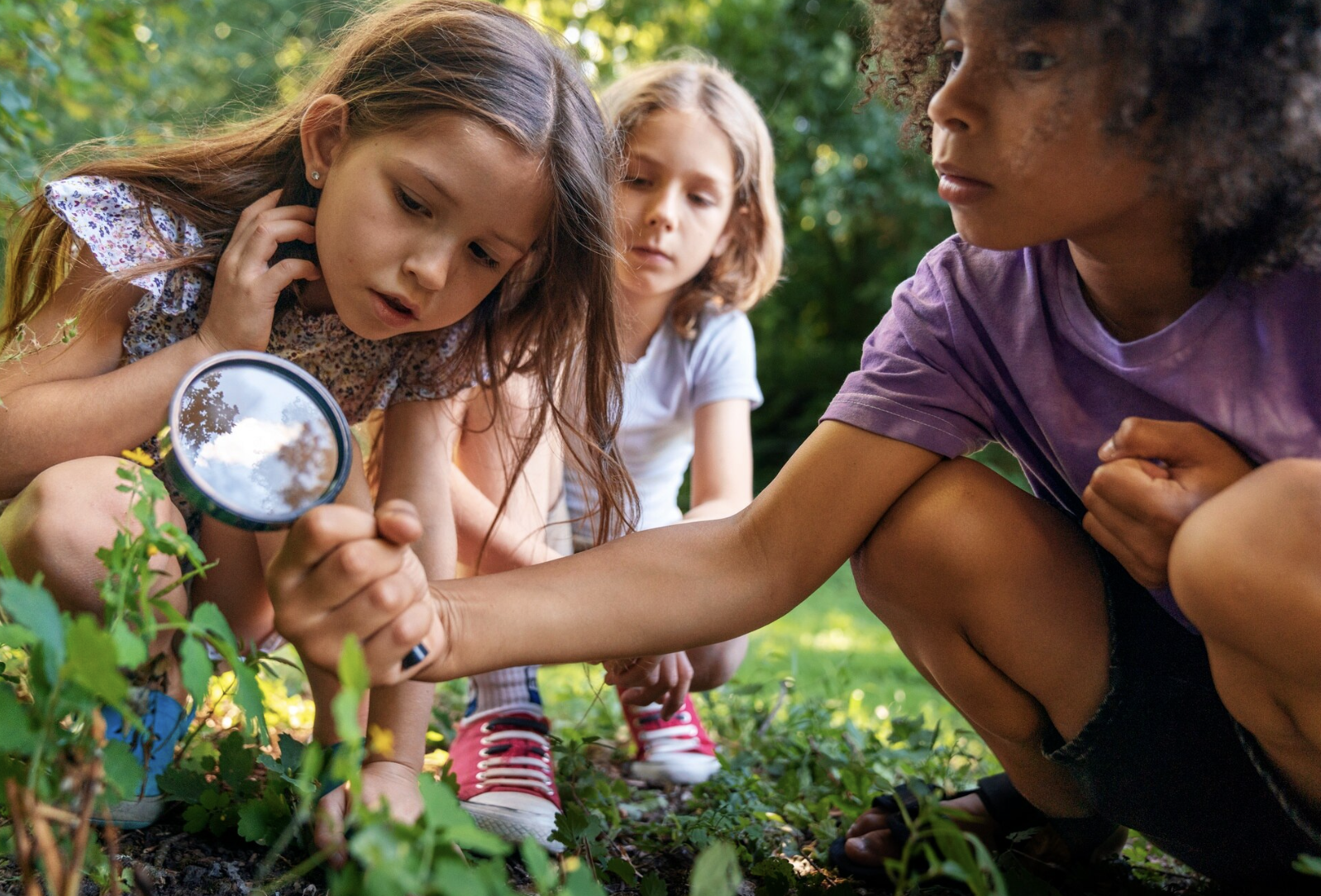 Image of Reggio Emilia Preschools In Singapore