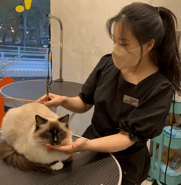 best pet groomers in hong kong