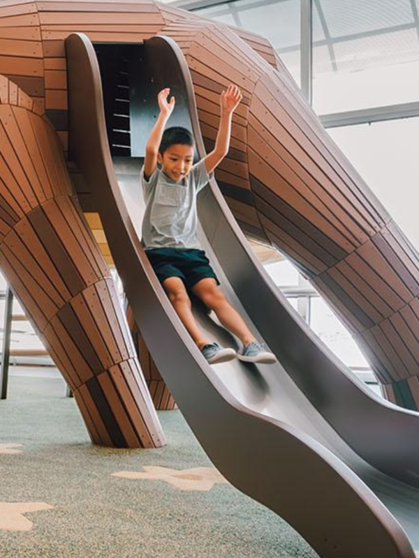 Image of boy sliding at The 2 Bears Hideout - outdoor playground singapore