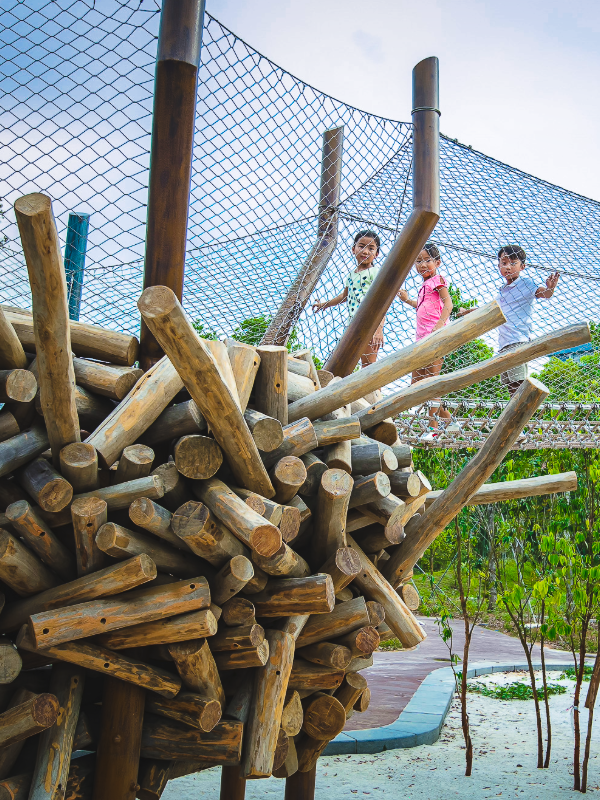 Image of Forest Ramble at Jurong Lake Gardens - outdoor playground singapore