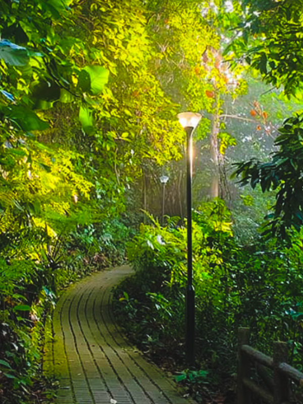 Nature park trail at Butik Batok Nature Park - outdoor playground singapore