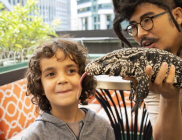 The Sixteenth Brings Back Its Petting Zoo Every Last Sunday Of The Month