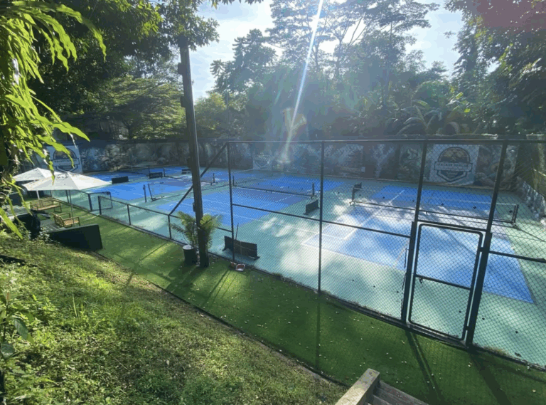 Image of Racket Jungle Dempsey Singapore
