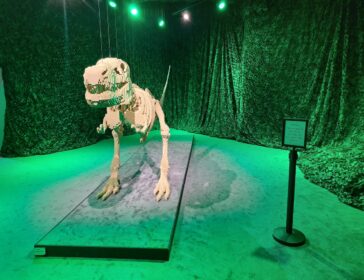 Bricktastic Adventure Awaits: Unleashing Creativity At “Art Of The Brick” In Singapore