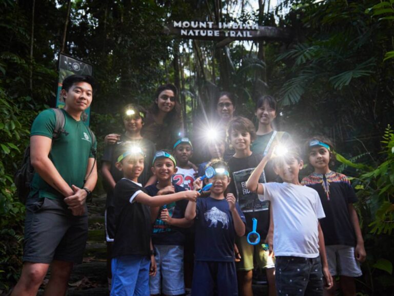 Sentosa rainforest night walk with guided nature tour