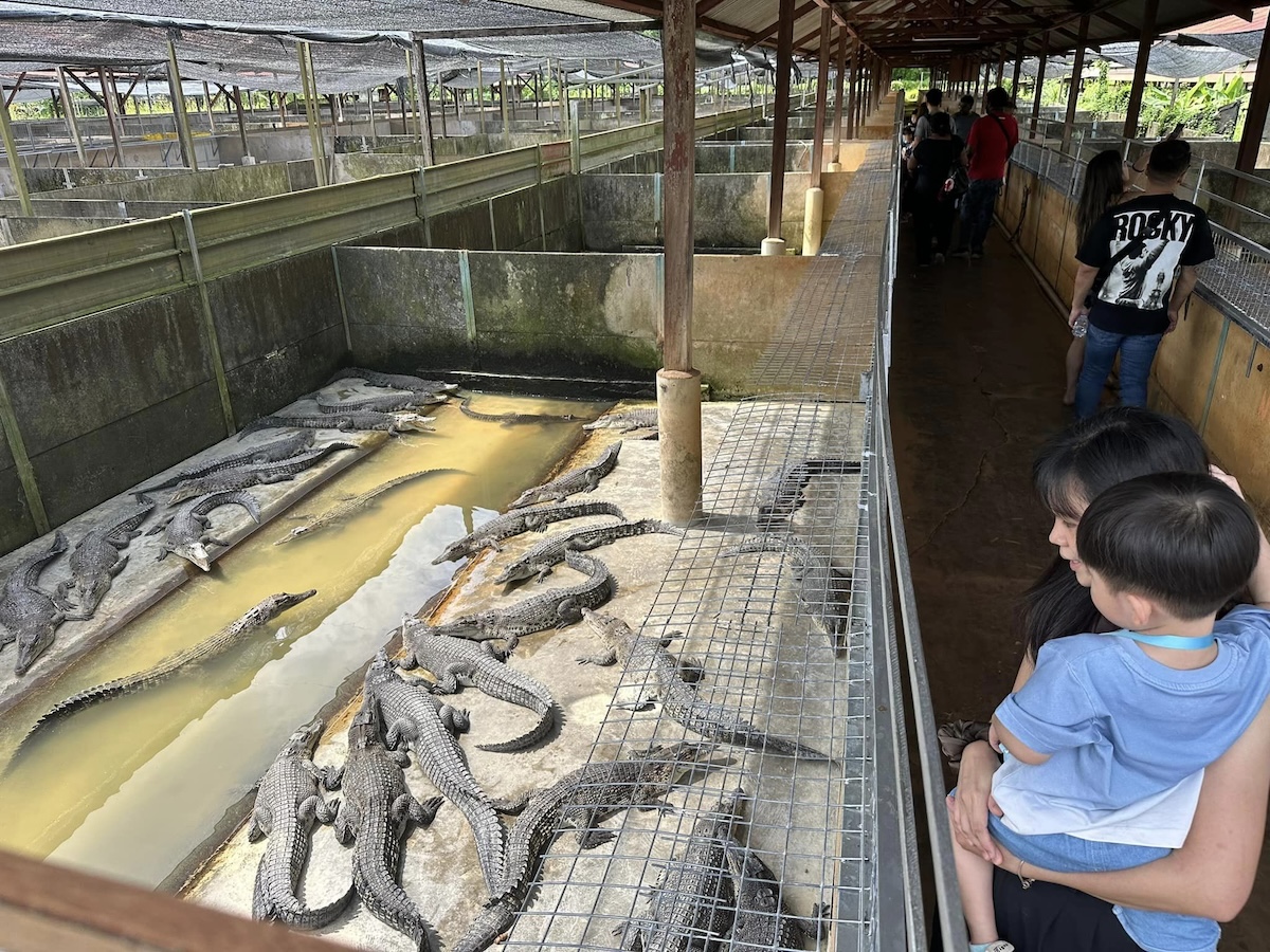 Long Kuan Hung Crocodile Farm Singapore
