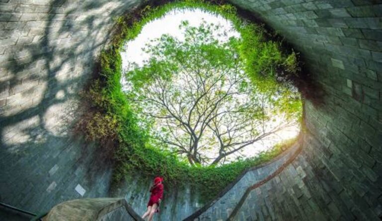 Image of Fort Canning Park In Singapore