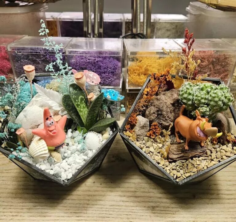 Sppfy Terrarium Art Workshop Singapore