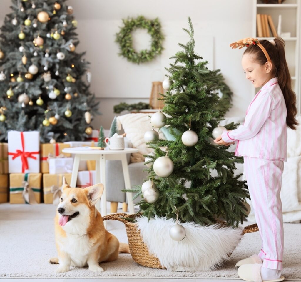 Where To Buy Christmas Trees In Singapore 2025