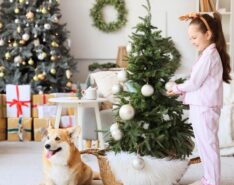 Where To Buy Christmas Trees In Singapore 2025