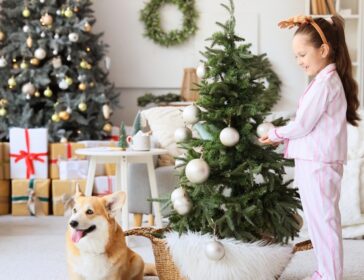 Where To Buy Christmas Trees In Singapore 2025