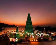 Holiday Christmas Events For Families In Hong Kong 2024
