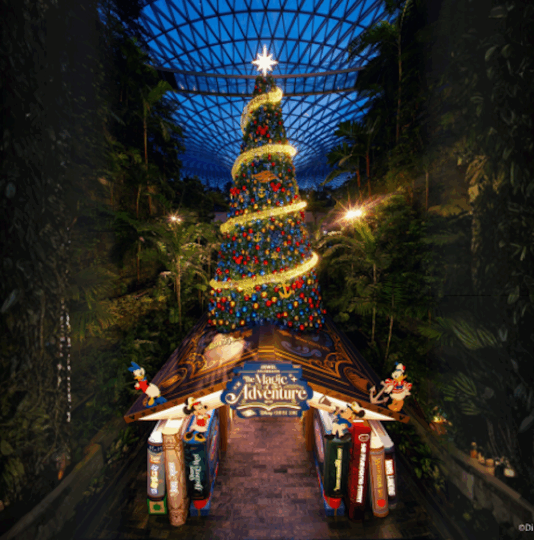Jewel Changi Where To See Snow 2025 Singapore