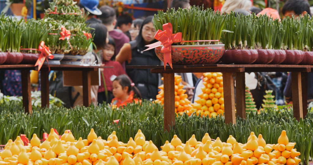 Visit Victoria Park & Hong Kong’s Flower Markets This Chinese New Year 2026
