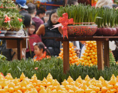 Visit Victoria Park & Hong Kong's Flower Markets This Chinese New Year 2026