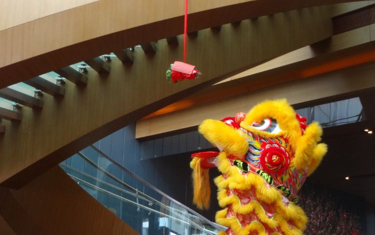 chinese new year lion dances 2026