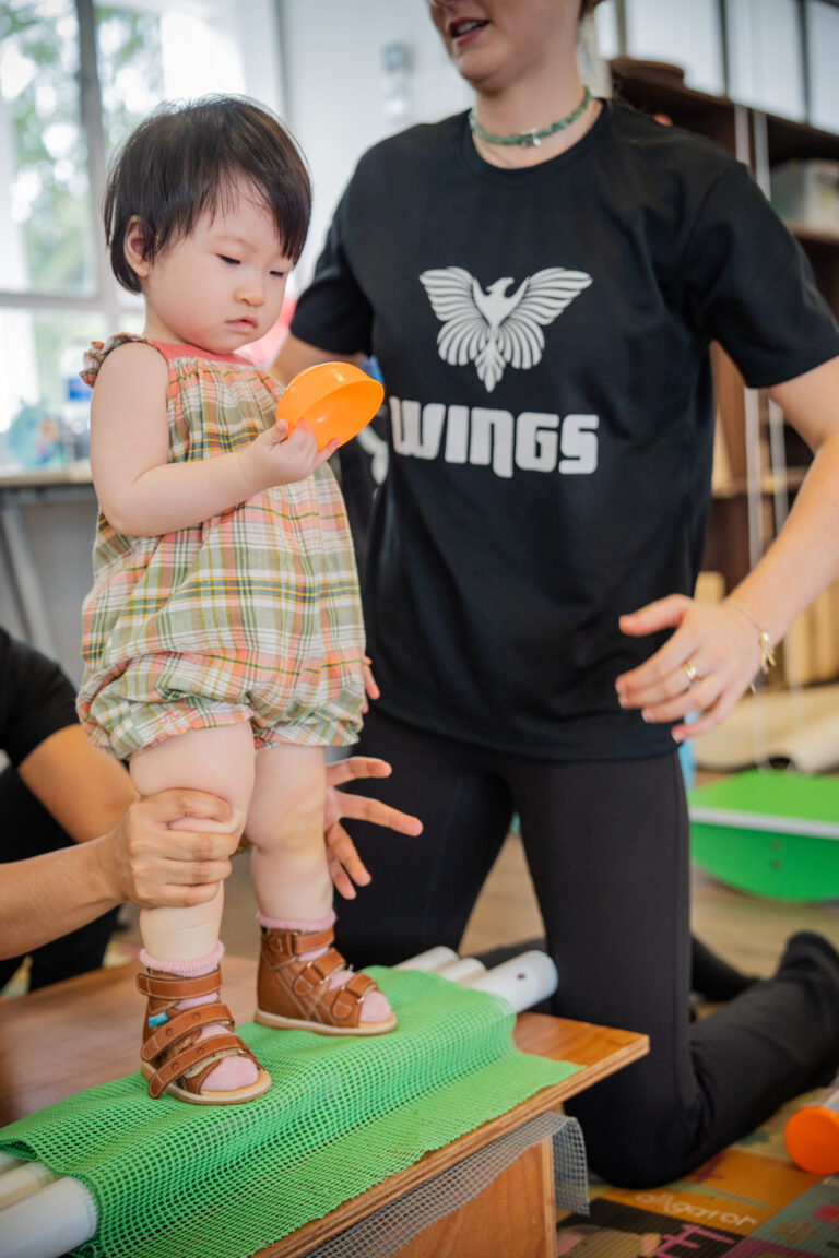WINGS Therapy Special Needs Intervention Singapore