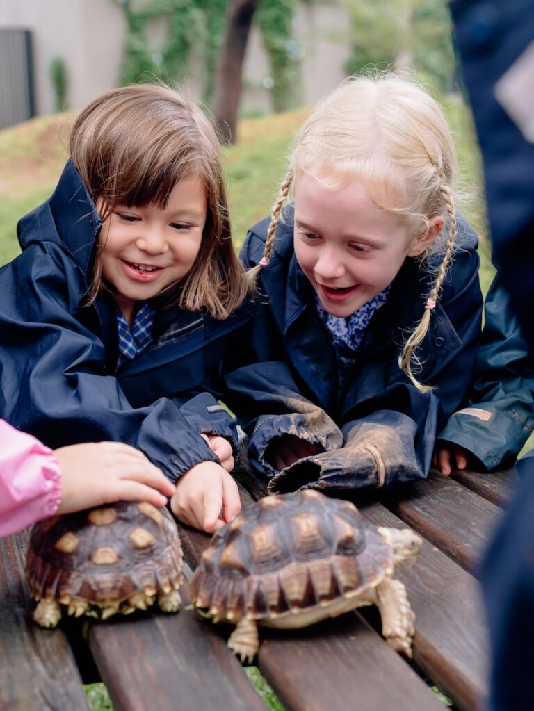 The Independent School Of Jakarta Early Education