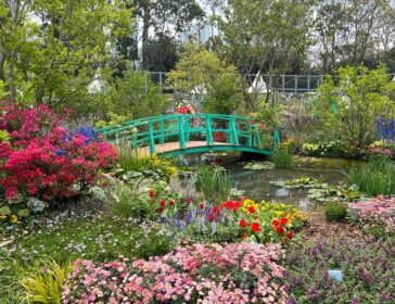 Your Ultimate Guide To The Hong Kong Flower Show 2026