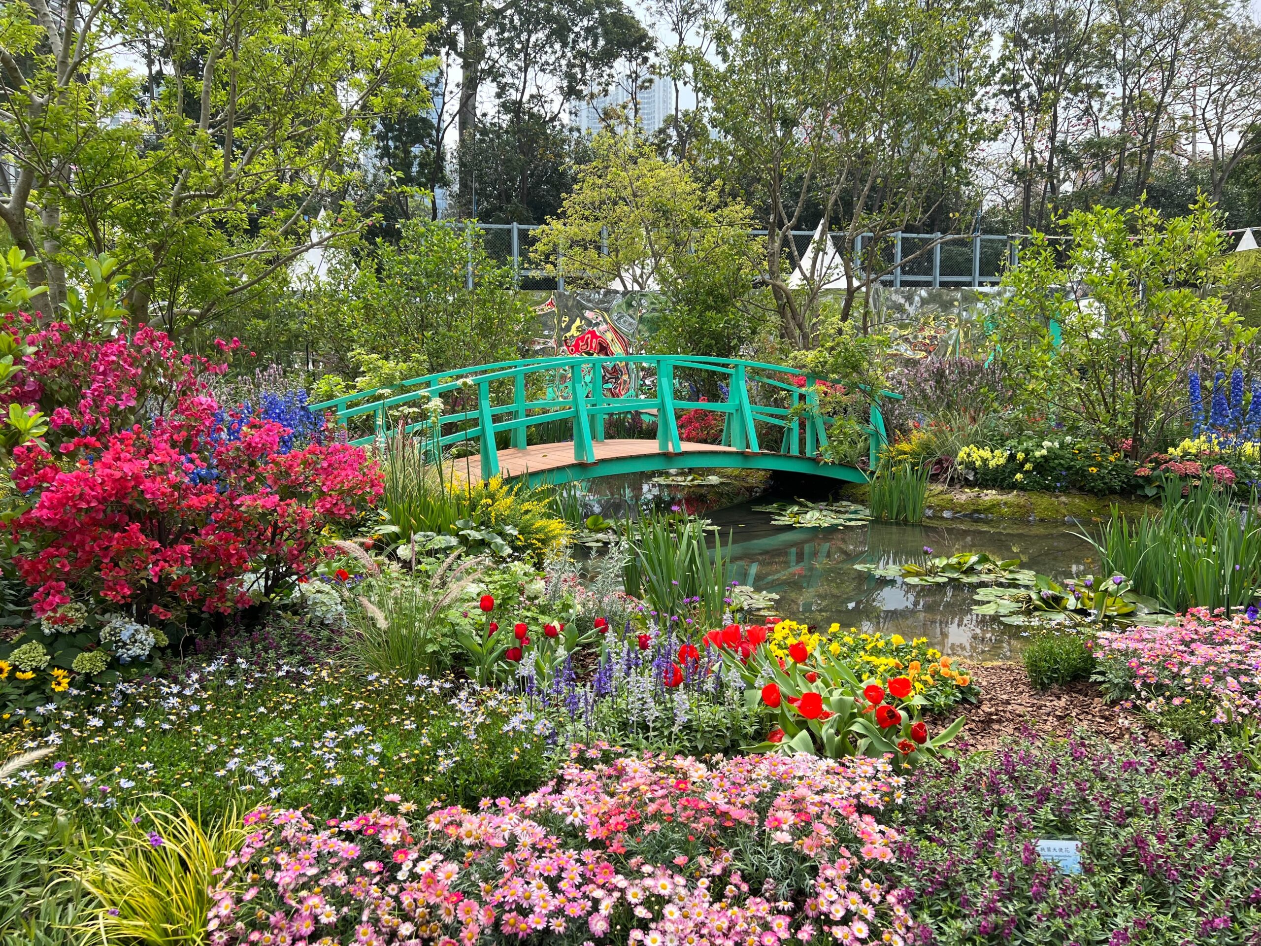 Your Ultimate Guide To The Hong Kong Flower Show 2026