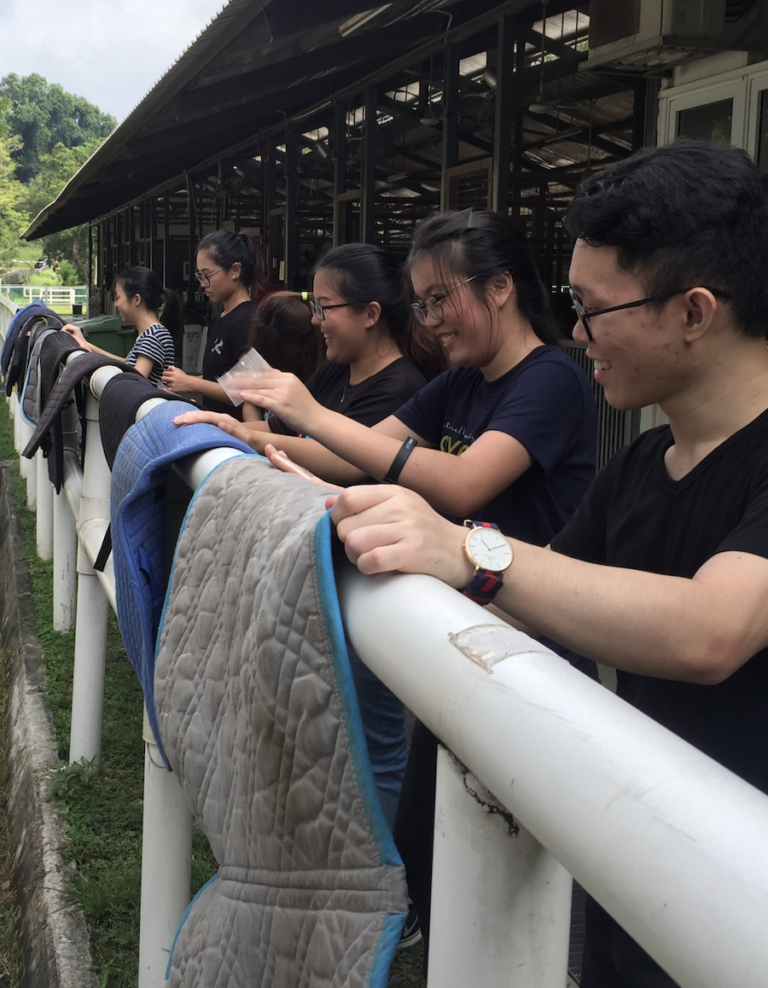 Riding for the Disabled Association Volunteer Singapore