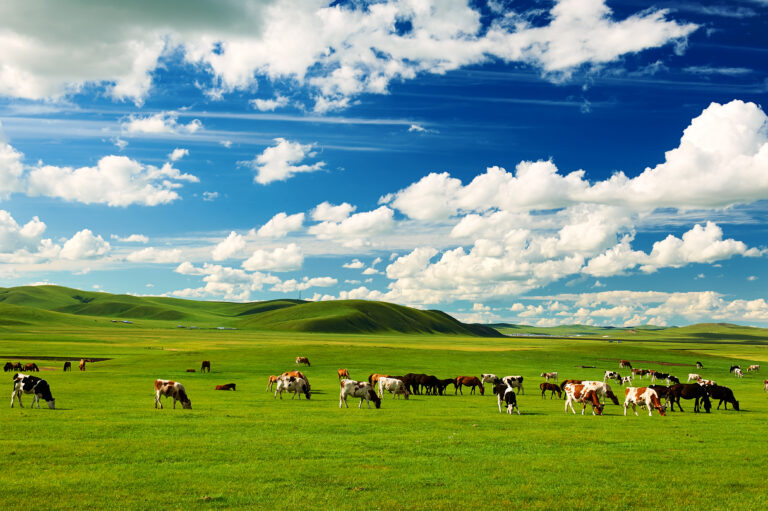 Hulunbuir mongolia