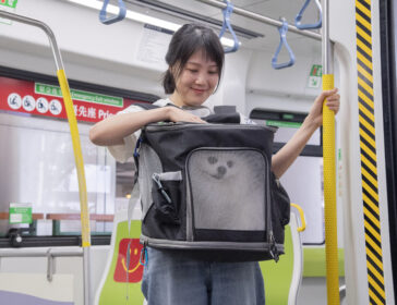 MTR’s Cat/Dog Carrying Scheme Launches: Travel With Your Pets On Light Rail!