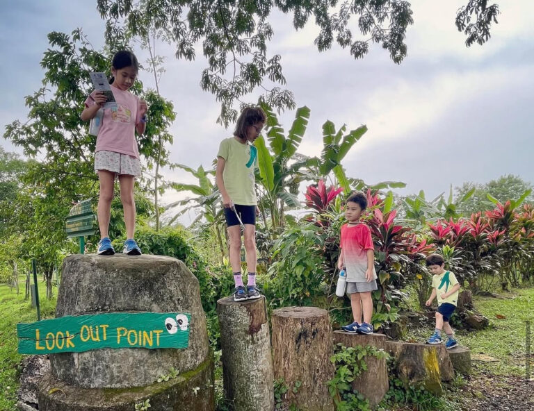 Budget Activities For Kids In Singapore