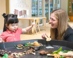 Creative Play Shrewsbury Hong Kong