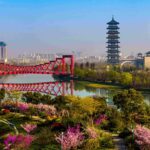 The Ultimate Guide To Yangzhou For Families Little Steps Asia
