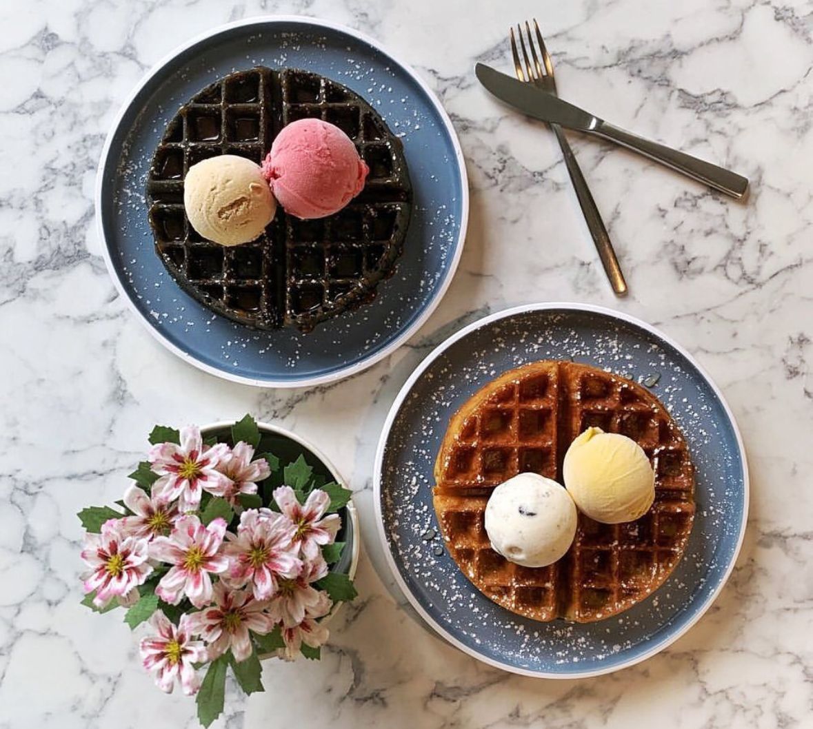 Image of ice cream and waffles from Holy Cow Creamery