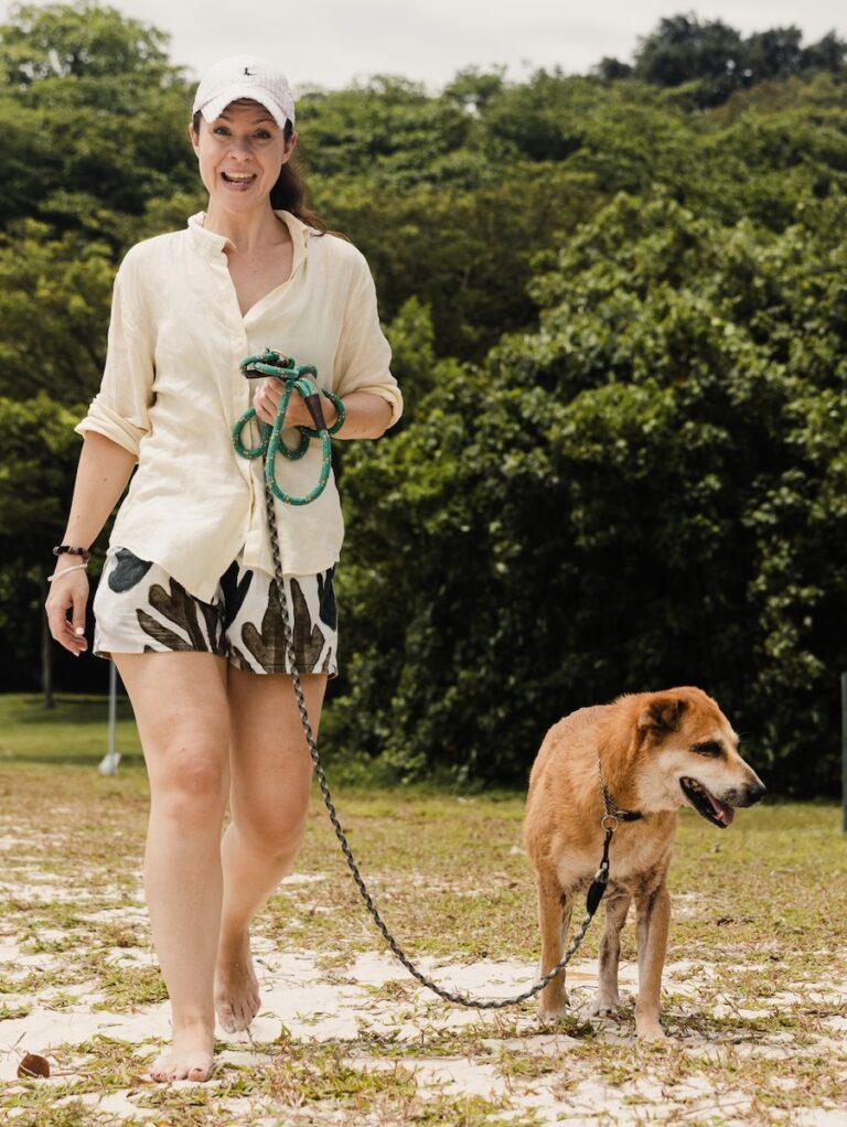 Action for Singapore Dogs Volunteering