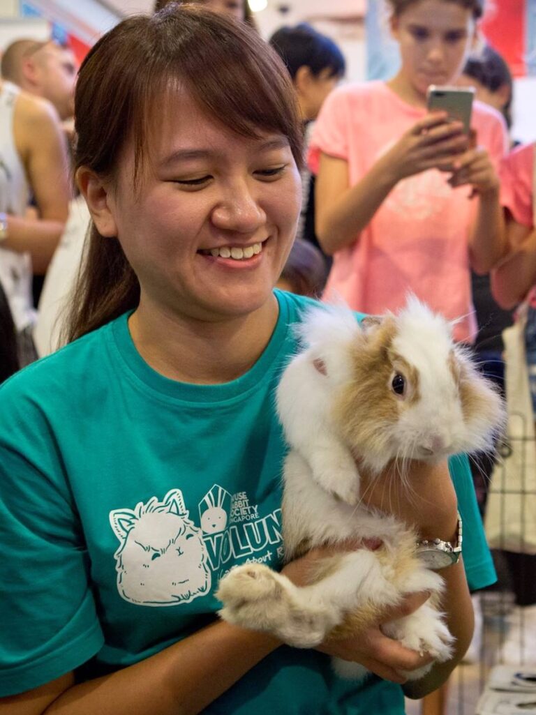 House Rabbit Society Singapore