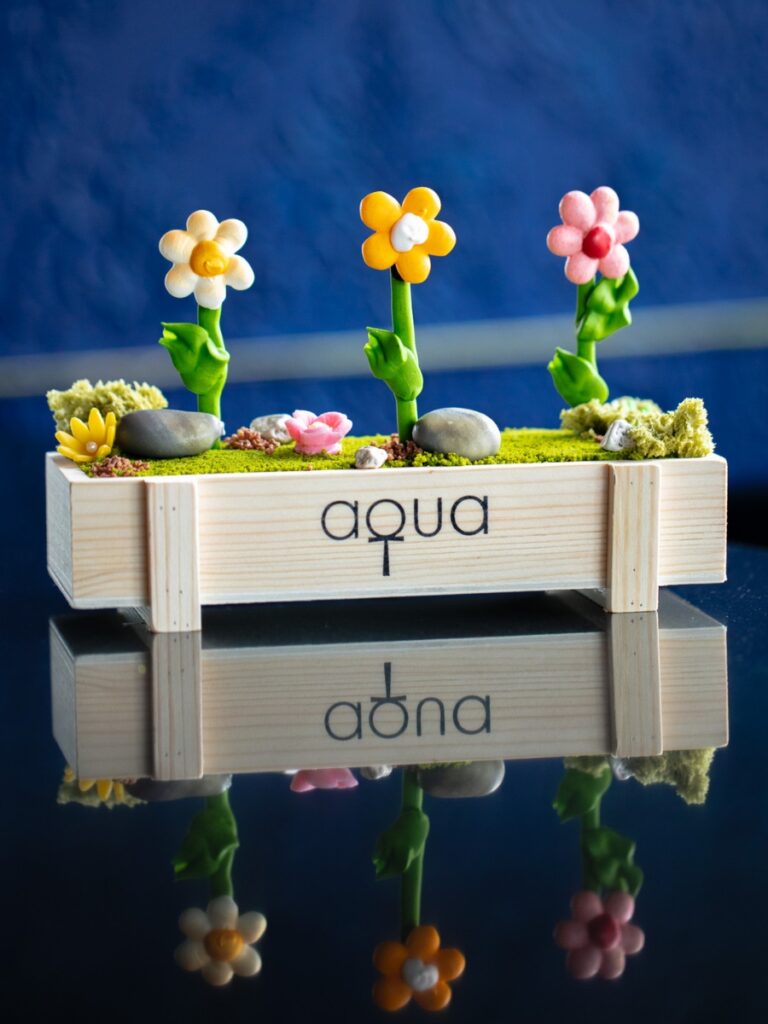 aqua Mother's Day celebrations 2025 Hong Kong