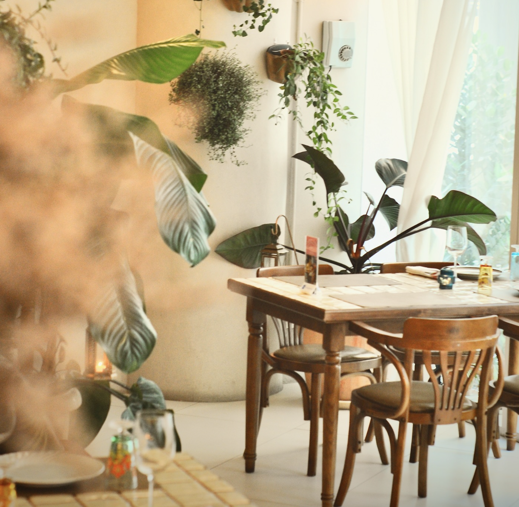 Summer Hill Singapore Brunch With Kids