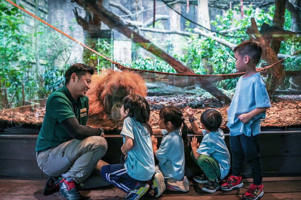 ZooSchool Mandai Wildlife Reserve Singapore