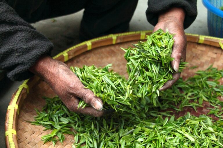 The Global Tea Fair China Shenzhen Best Cafes And Coffee Shops In Shenzhen Littlel Steps Asia