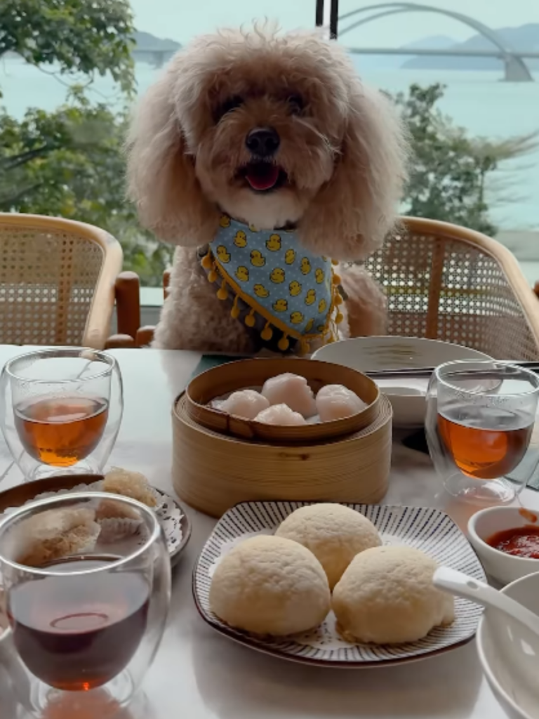 indulgent eats HK foodie