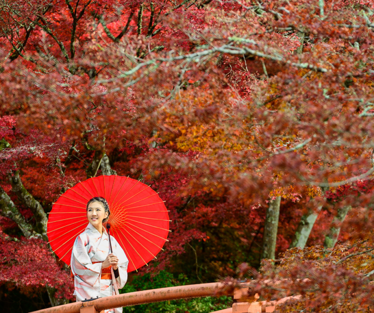 Homestays And Immersion Programs Japan