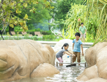 Secret Free Water Playground At Clusia Cove In Jurong Lake Gardens, Singapore