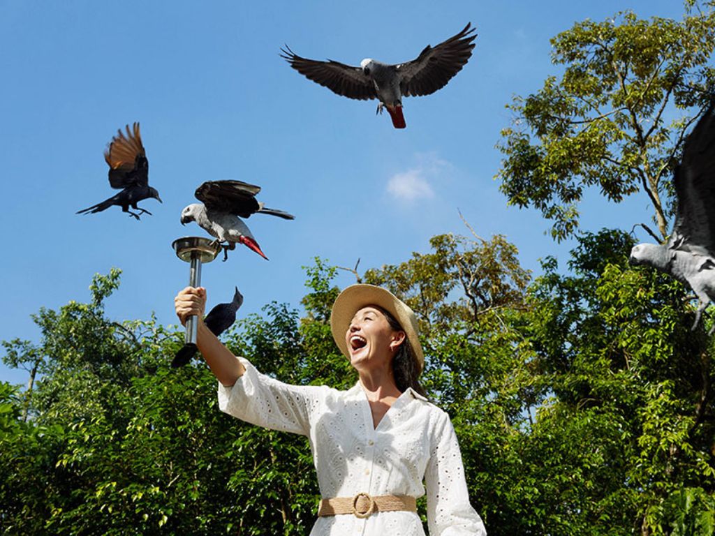Image of animal feeding at Bird Paradise Singapore