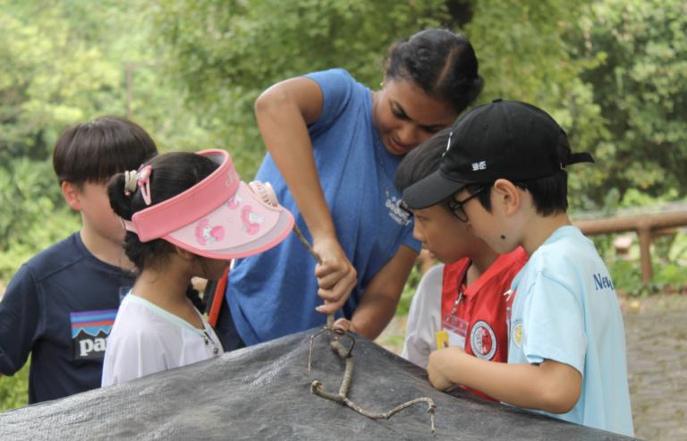 Outdoors Camp Beaumont Hong Kong