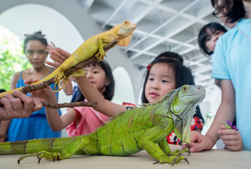Mobile Zoo Murray Hong Kong