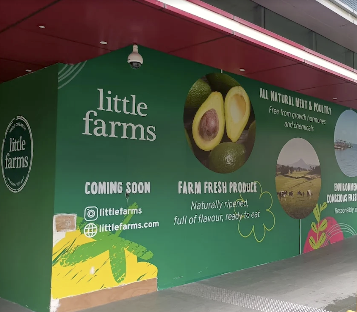 Little Farms One Raffles Places Singapore