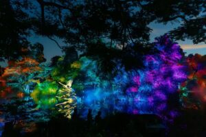Dazzling Light Show Debuts At Singapore Botanic Gardens For SG60 – Don’t Miss It!