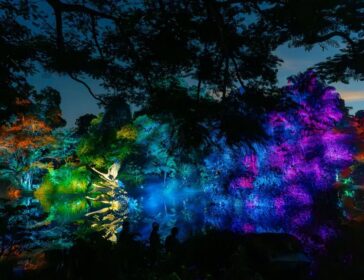Dazzling Light Show Debuts At Singapore Botanic Gardens For SG60 – Don’t Miss It!